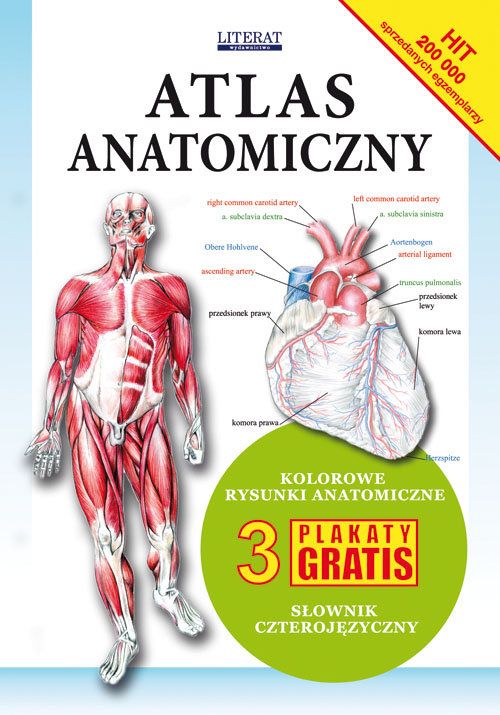 anatomia człowieka książka